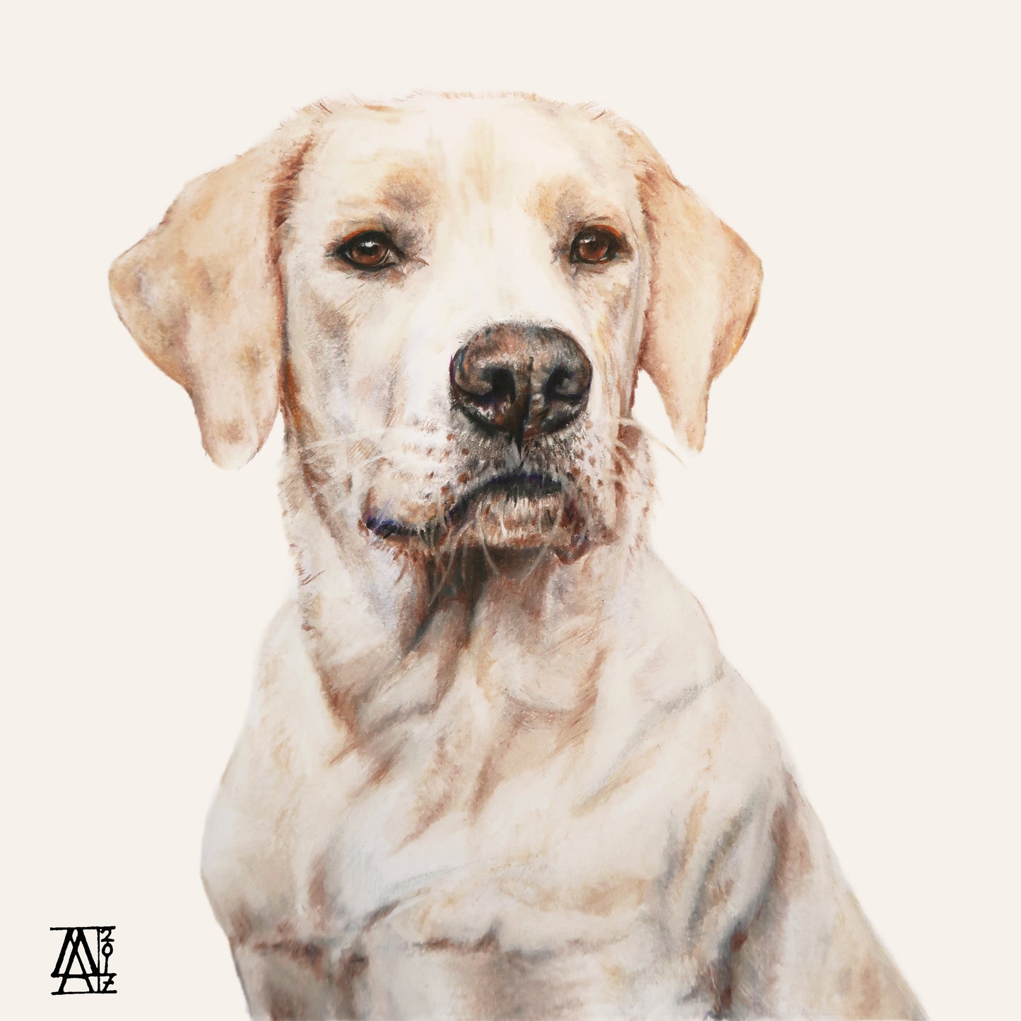 Coloured Pencils - Elvis